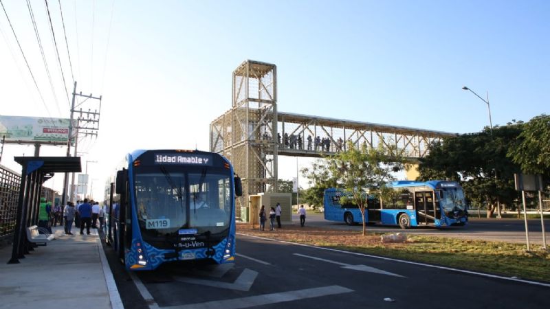 Arranca la ruta 'Va y Ven', nuevo servicio de transporte en Mérida