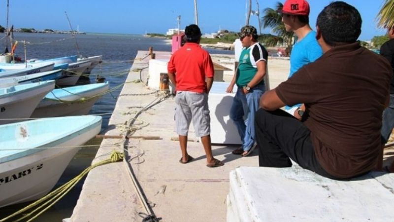 Pescadores de Sisal dejan la captura de pulpo a 15 días de terminar la temporada
