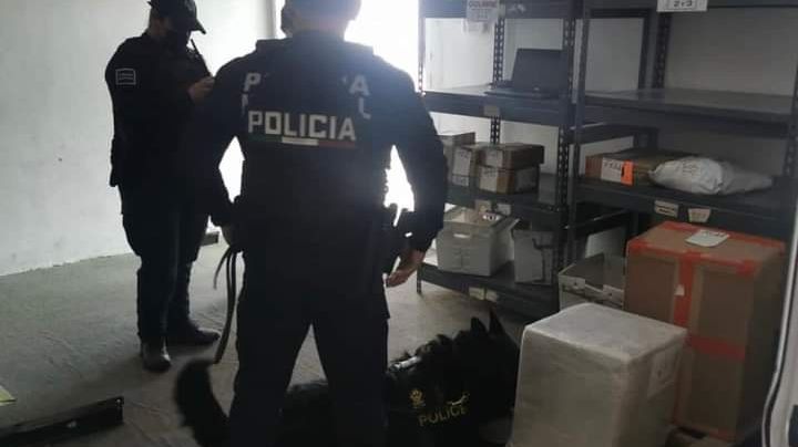 Perro policía halla caja con droga en paquetería de Playa del Carmen