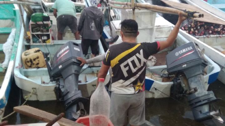 Pescadores de Celestún reportan mal cierre de la temporada de pulpo