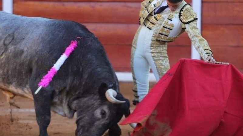 Diputado del Verde Ecologista 've difícil' la prohibición de corridas de toros en Yucatán