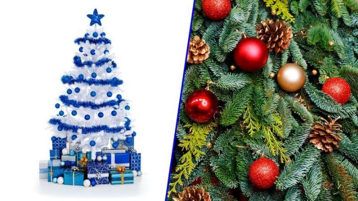 Árboles navideños naturales o de plástico; ¿cuál contamina más?