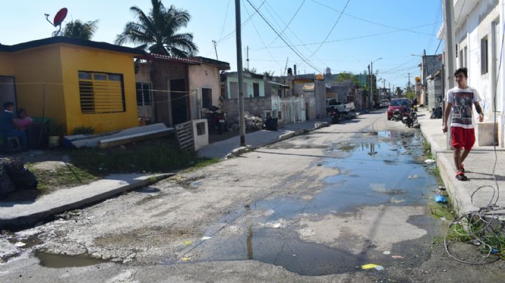 Vecinos de Progreso denuncian nula atención en las calles y alcantarillas; temen de infecciones