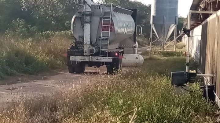 Tractocamión provoca fuga de gas al arrastrar un tanque en Baca, Yucatán