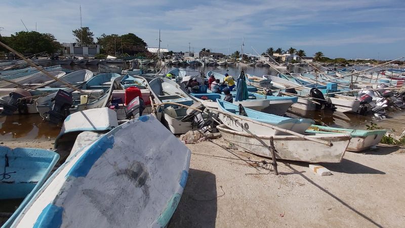 Pescadores ponen fin a la temporada de pulpo en Yucatán: FOTORREPORTAJE