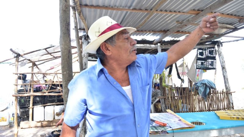 Pesca ilegal en Campeche 'golpea' venta de pulpo, aseguran pescadores
