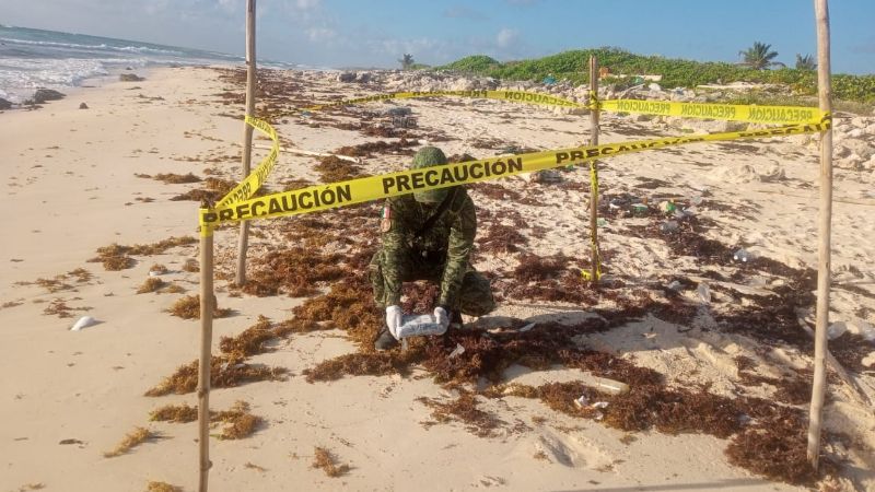 Militares aseguran dos paquetes de droga que recalaron en playas de Cozumel