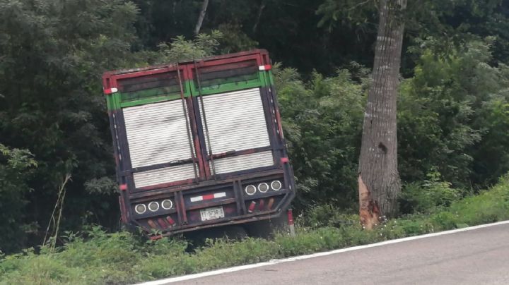 Camioneta choca y se sale de la carretera en el tramo Polyuc-San Luis, Q. Roo
