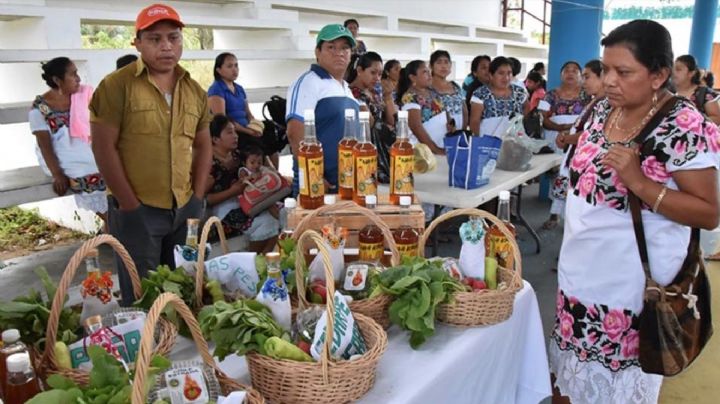 Bacalar, el municipio con más trabajos informales en Quintana Roo: Cepal