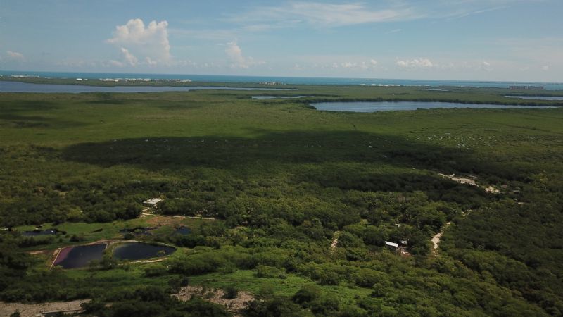 Alertan contaminación en la Laguna Chacmuchuch de Isla Mujeres por lixiviados