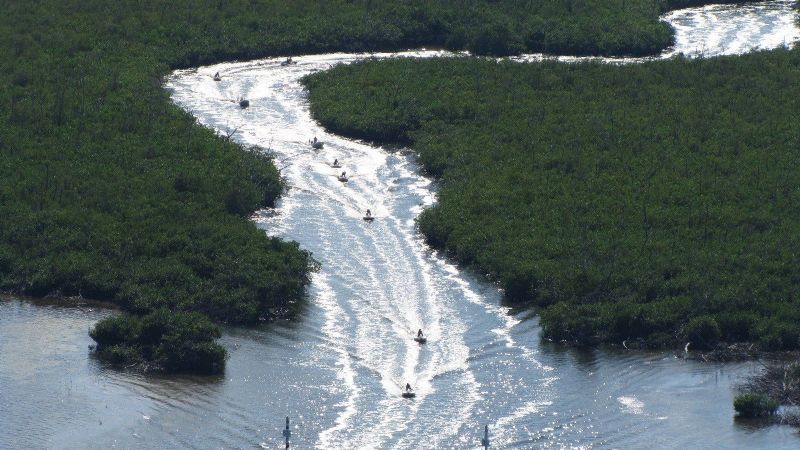 Campeche: Oceana México reprueba a la Biósfera de Los Petenes por trabajos de conservación