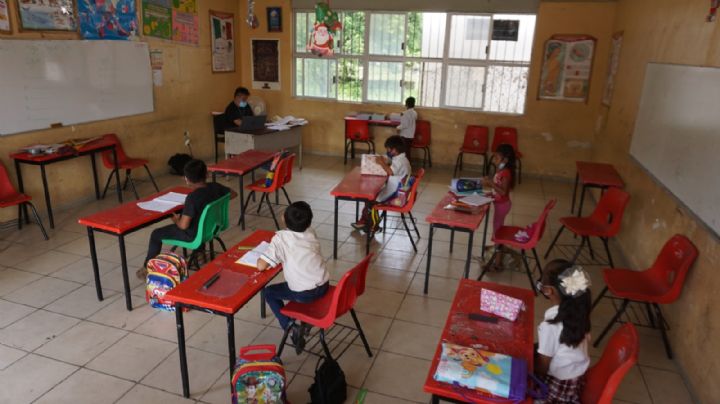 Bullying, problema que afecta al 52.9% de alumnos en Campeche: Ecosur