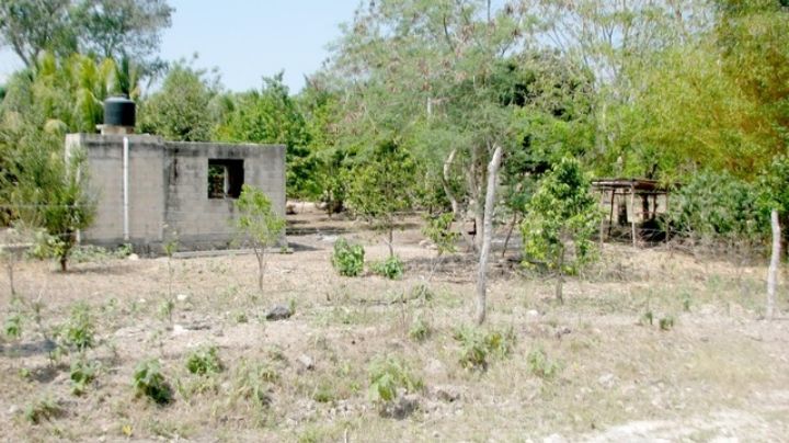 'Mafia agraria' deja sin tierras a ejidatarios de 4 municipios de Campeche