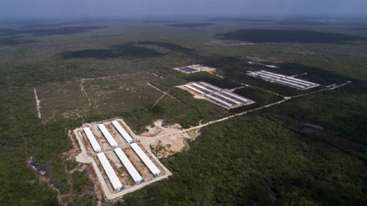 Mafia agraria: Leyes como instrumento para robo de tierras en Yucatán