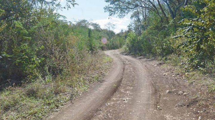 Mafia Agraria: Familia Mouriño, impulsores del despojo de tierras en Campeche