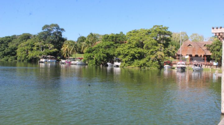 Ambientalistas señalan contaminación en la Laguna de Bacalar