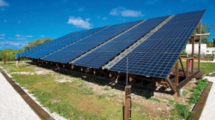 Energía limpia en Campeche, sin estudios en impacto ambiental: Ecosur