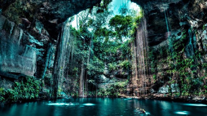 Cinco cenotes de Yucatán que parecen sacados de una película de Hollywood