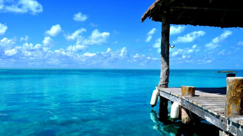 Quintana Roo: Conoce las bondades de la paradisíaca Isla Contoy