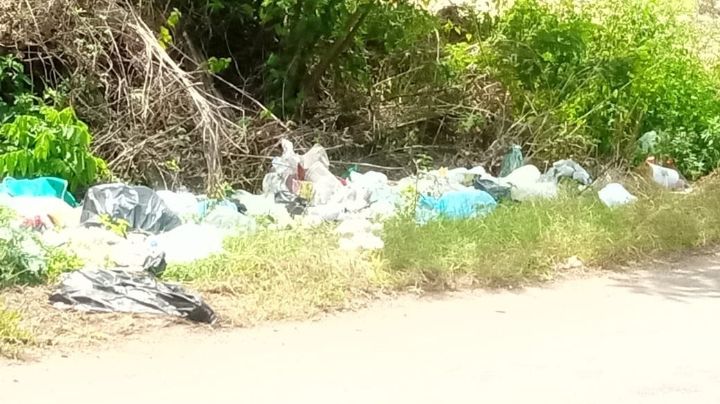 Denuncian nuevo basurero clandestino en carretera de Tekax