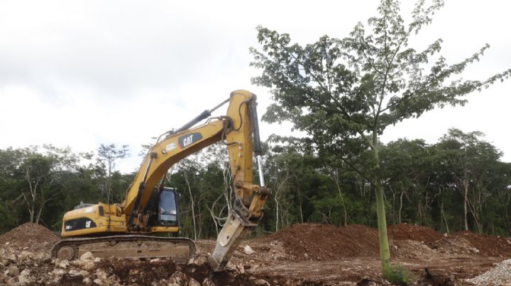 Tren Maya, amenaza ambiental para Yucatán, advierte Cinvestav
