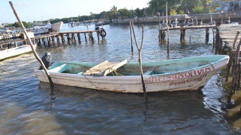 Pescadores violan veda del camarón blanco en Ciudad del Carmen