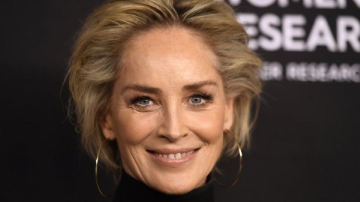 ¿Cuánto cuesta el vestido que Sharon Stone utilizó en el Festival de Cannes?