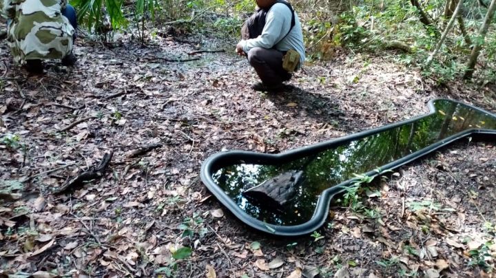 Instalan bebederos artificiales para proteger la Reserva Balam-Kú en Campeche