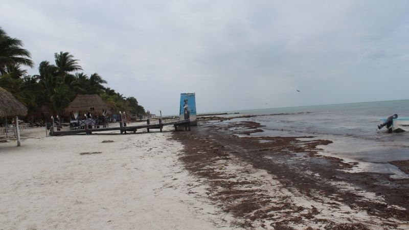 Clima en Chetumal: Cielo nublado durante el día y chubascos en los municipios de Quintana Roo