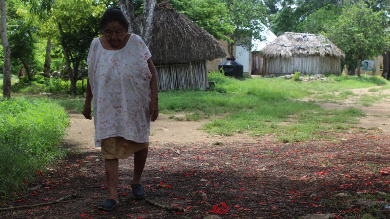 50 comunidades indígenas han presentado demandas ante los enlaces del Tren Maya en Bacalar