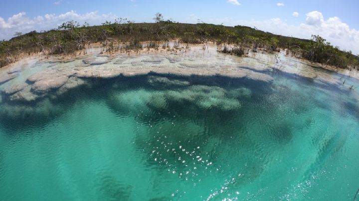 Advierten riesgos de no preservar los estromatolitos en la Laguna de Bacalar