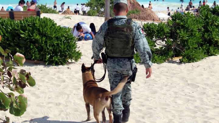 Semana Santa 2021: Refuerzan la seguridad en las playas de Cancún