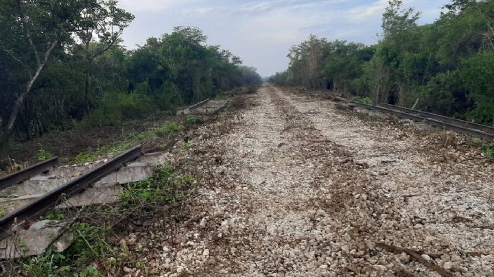 Tren Maya: Sin desalojo forzoso en Campeche, aseguran