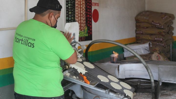 Precio de la tortilla podría aumentar a 24 pesos el kilo en Yucatán, advierten molineros