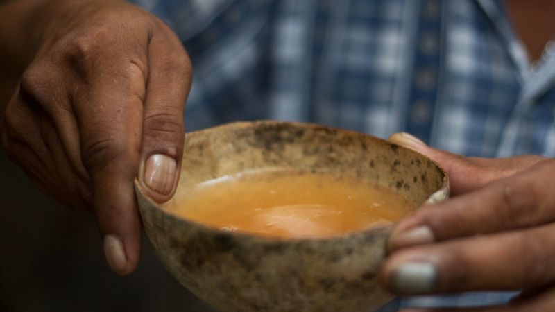 Cinco cosas que no sabías de Balché, bebida ceremonial de los mayas