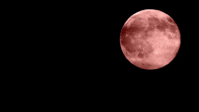¿Cómo y cuándo ver la Superluna rosa de abril?
