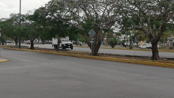 Tráfico en Cancún este lunes: Avenida Andrés Quintana Roo con movilidad fluida