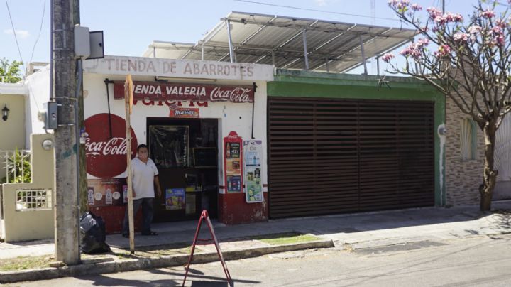 CFE frena avance de 900 proyectos con paneles solares en Yucatán
