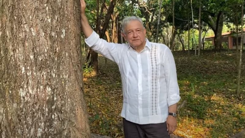AMLO pedirá a Joe Biden visas para centroamericanos que planten árboles