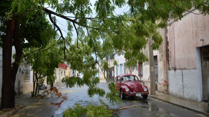 Clima Ciudad del Carmen: La isla tendrá un día nublado y lluvioso por la Tormenta Tropical "Ida"