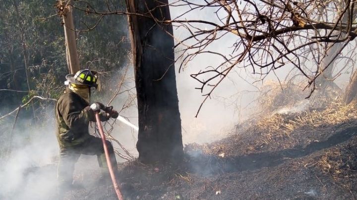 Controlan incendio en la Tercera Sección del Bosque de Chapultepec