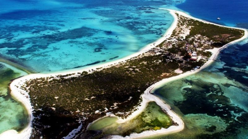 Arrecife Alacranes, la isla coralina más grande ubicada en Yucatán
