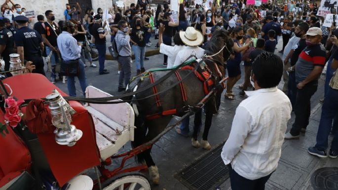 Animalistas confrontan a caleseros durante marcha contra el maltrato animal en Mérida