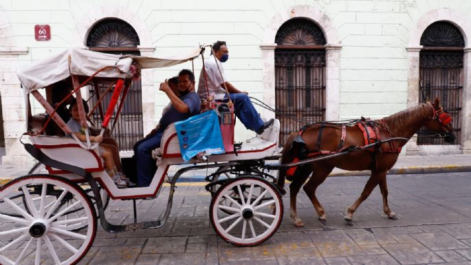 Modificarán reglamentación para bienestar de los caballos de calesas en Mérida