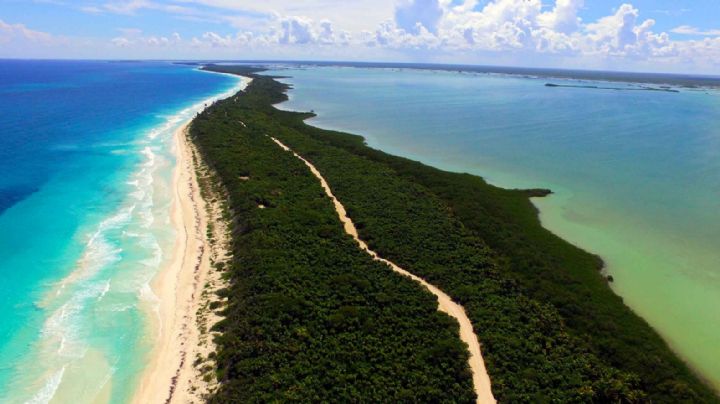 Quintana Roo: Estas son las áreas naturales más importantes del estado