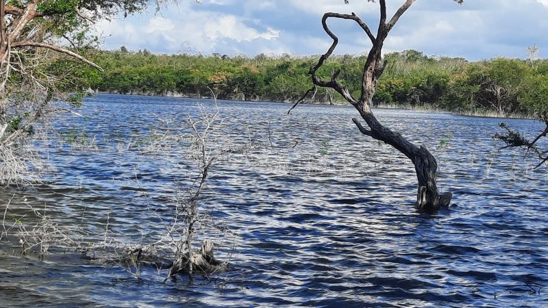 Laguna Nachi Cocom, la belleza natural escondida de Popolnah, Tizimín