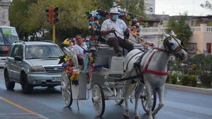 Calesas eléctricas romperían tradición centenaria en Mérida