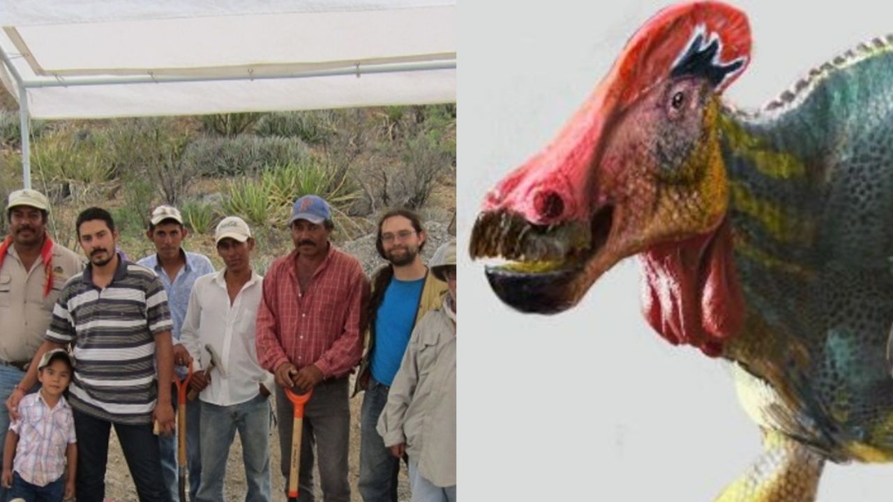 Identifican una nueva especie de dinosaurio en México | PorEsto
