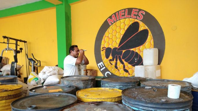 Aumenta el precio de la miel en Peto, Yucatán