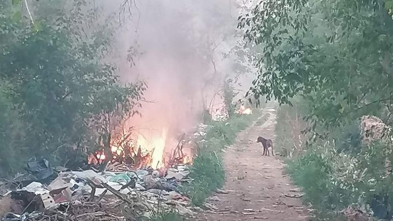 Incendios en Acanceh, Yucatán, consumen postes de servicio telefónico